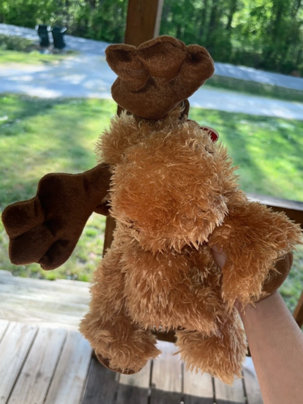 Vintage Ty classics 2004 floppy moose NWT